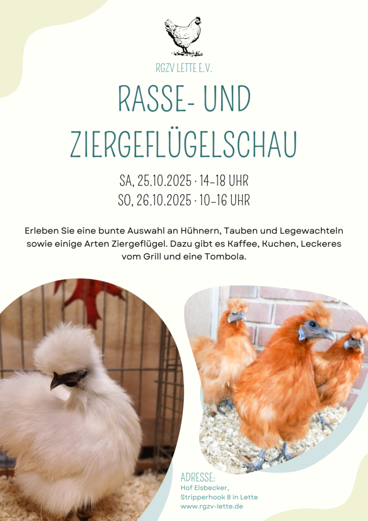 Einladung zur Rasse- und Ziergeflügelschau des RGZV Lette e.V. am 25. und 26. Oktober 2025 in Hof Elsbecker, Stripperhook 8 in Lette. Präsentiert werden Hühner, Tauben, Legewachteln und Ziergeflügel. Mit Kaffee, Kuchen, Grill und Tombola.